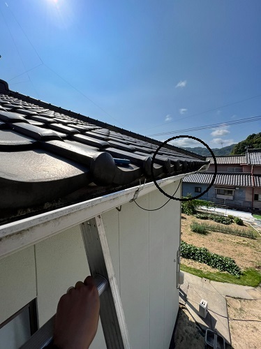 福山市雨どい調査梯子