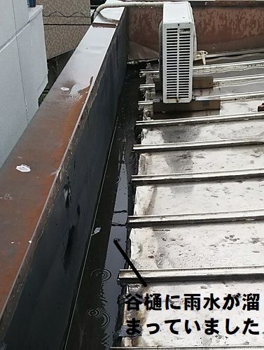 福山市にて天井にカビが生えるほど雨漏りする瓦棒屋根の雨漏り調査屋根上の調査谷樋に溜まった雨水
