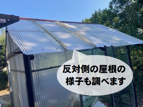 尾道市にて強風で飛ばされた温室の波板屋根調査で無料見積り塩化ビニル製波板