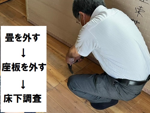 福山市和室床下調査手順