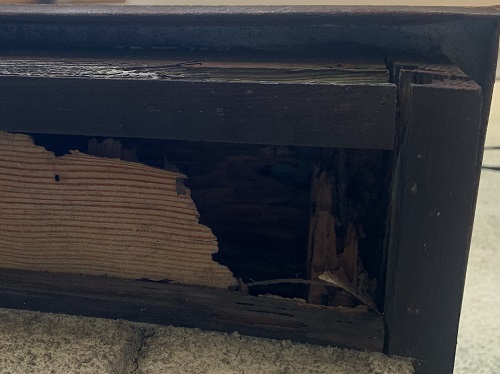 福山市庇調査軒裏天井の穴