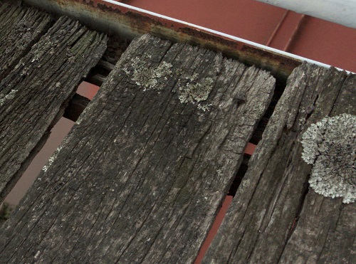 府中市テラス調査床材の腐食