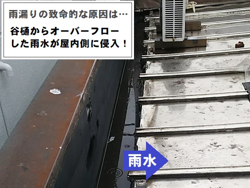 福山市にて天井にカビが生えるほど雨漏りする瓦棒屋根の雨漏り調査屋根上の調査雨漏り原因谷樋の雨水がオーバーフロー
