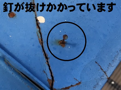 府中市にてベランダパラペット笠木をガルバリウム鋼板製に交換前の調査で笠木の釘抜け