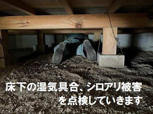 福山市床下点検シロアリ湿気