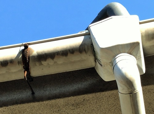 広島県府中市にて雨水が玄関先に落ちてくる雨樋修理で無料調査軒樋金具が錆びている軒樋