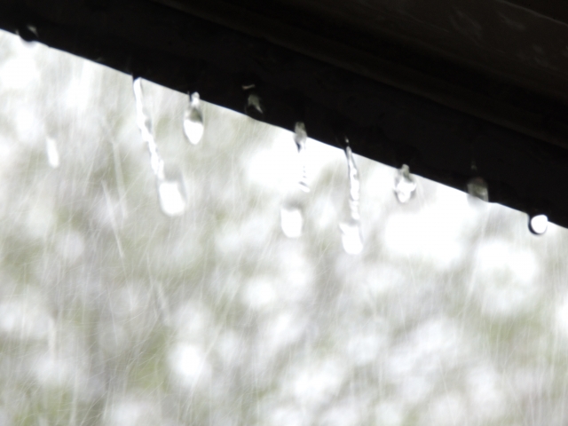 雨樋から落ちる雨水