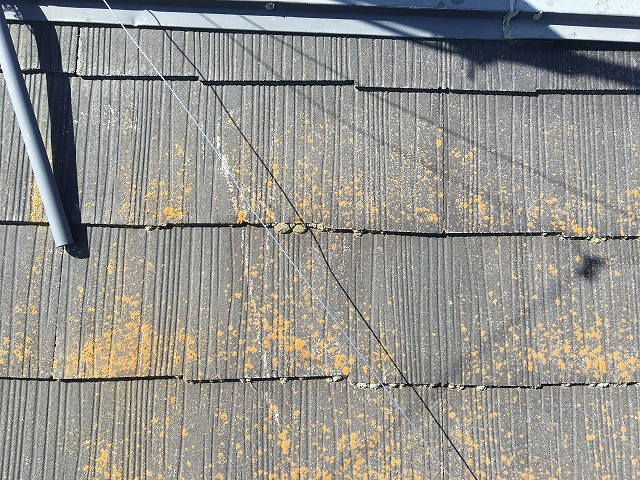 ヒビが発生した黒色のコロニアル屋根