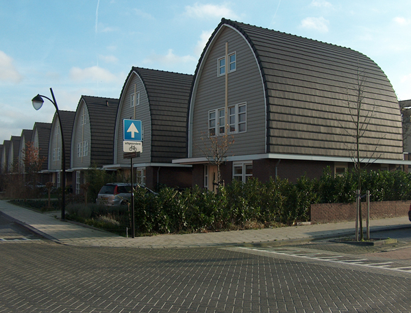 スタイリッシュな外観の海外のお家