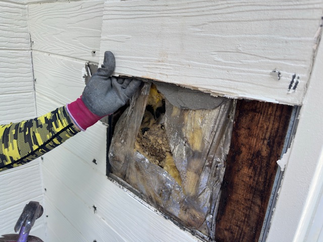 腐食したサイディングの撤去と内部確認