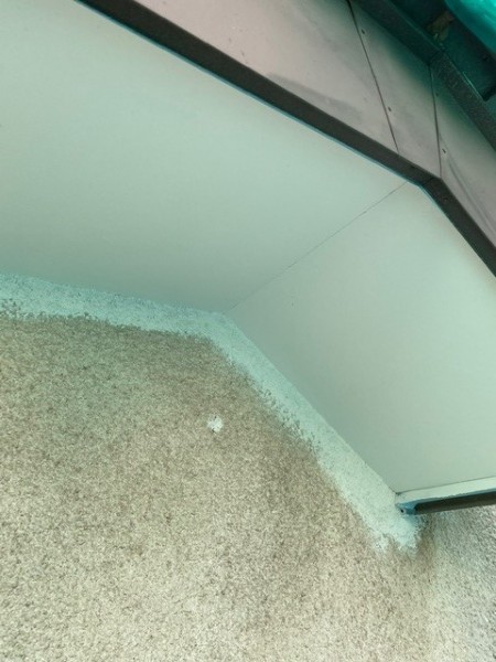 軒天２回目塗装終了です