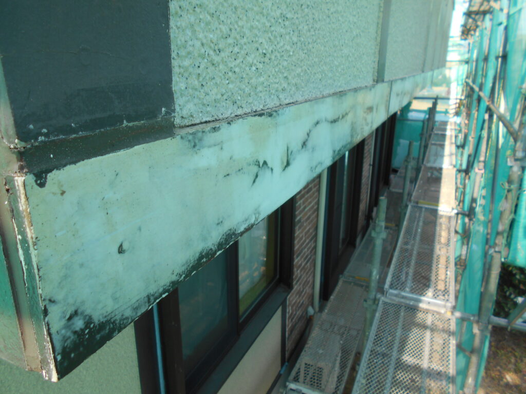 シーラー塗布終了