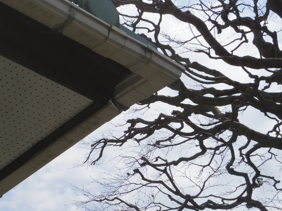 鹿沼市Ｆ様邸、曲がりの破損