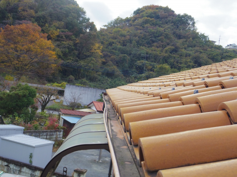 鹿沼市アパート南棟、雨樋