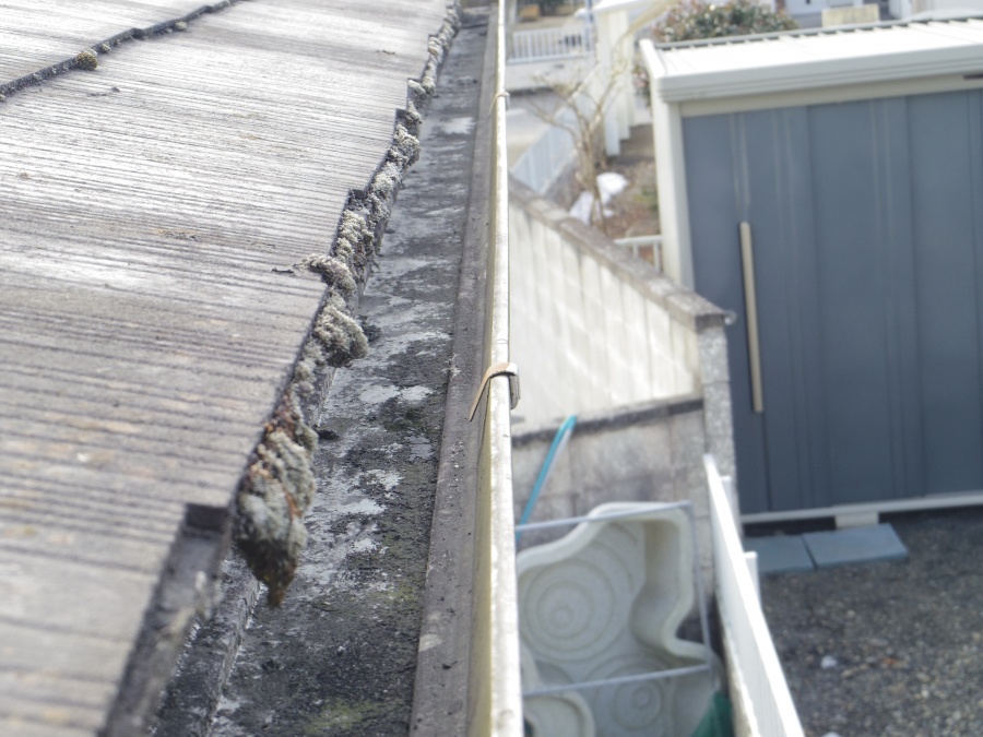 土が溜まっています