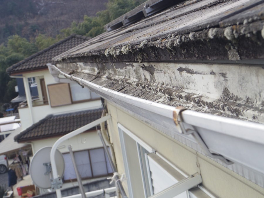 西面の破損箇所です