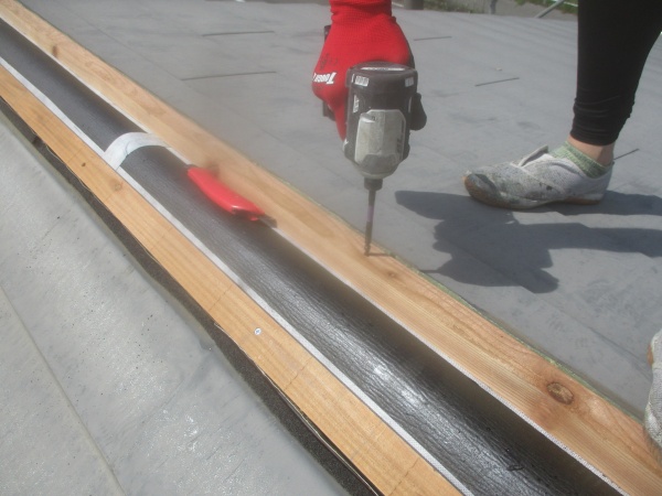 棟木の取り付け中です