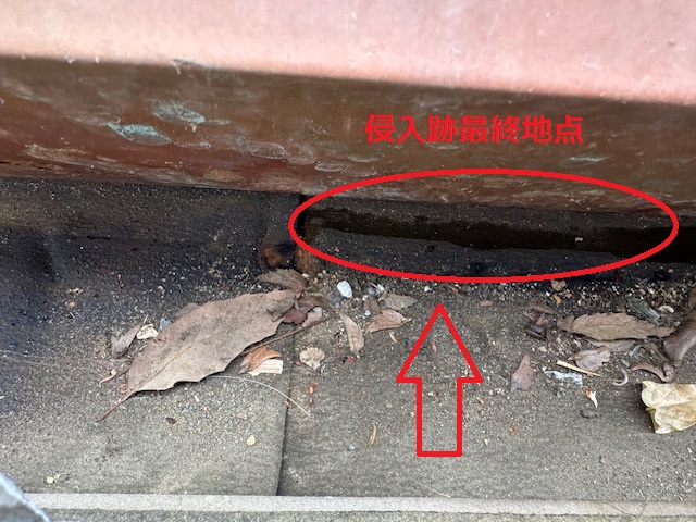 ルーフィングの雨水侵入です