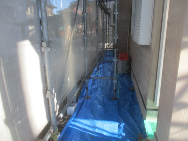 犬走りの養生をしました