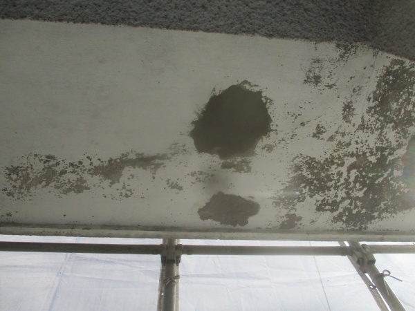 軒天補修完了です