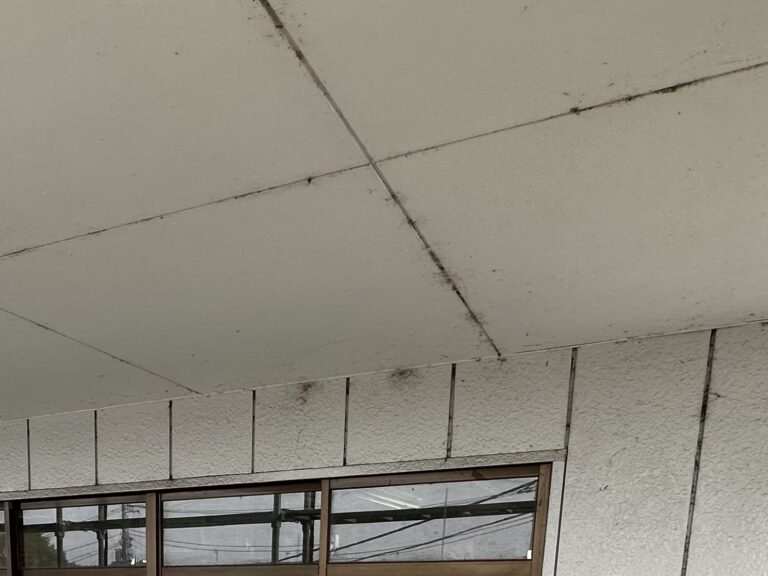 洗浄前の軒天です