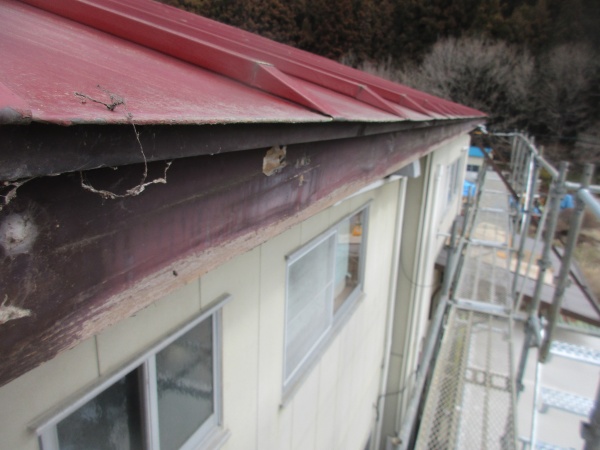 雨樋を撤去しました