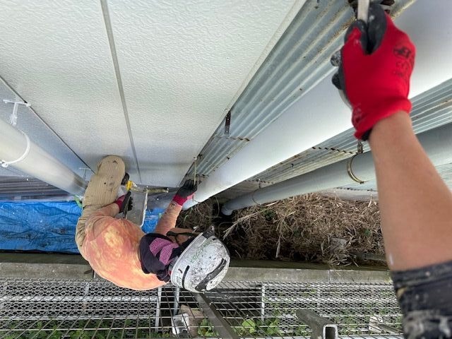 目地刷毛塗装中です