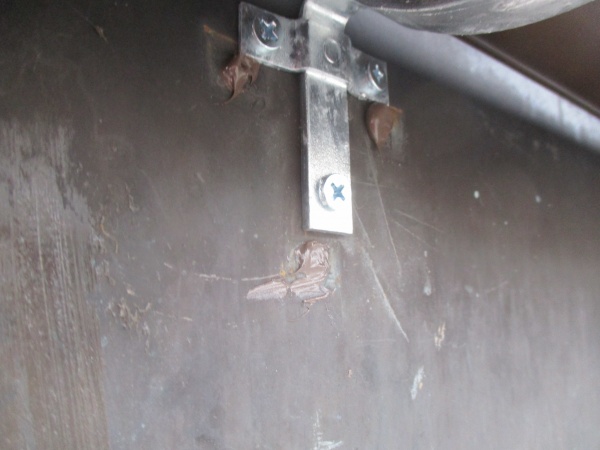 防水処理しました