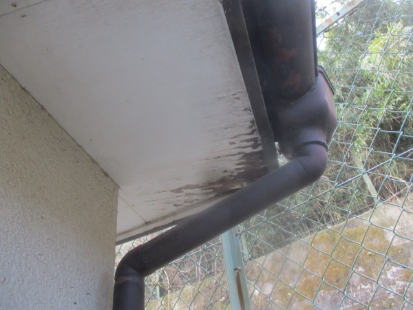 縦樋の破損箇所です