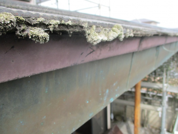 屋根の軒先のコケです