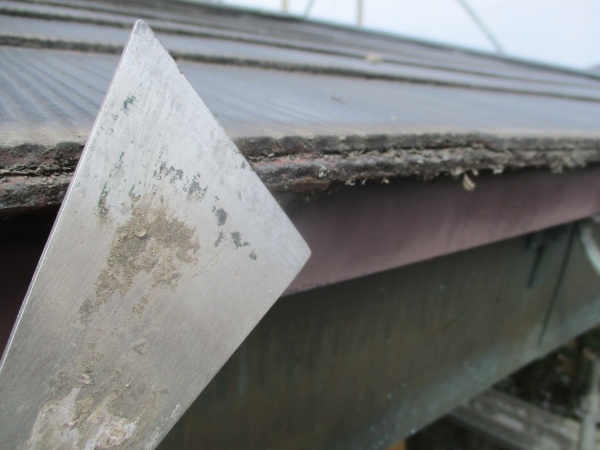 皮すきで削り取ります