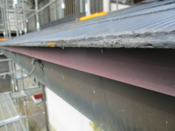 きれいになりました