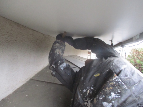 軒天を仮固定しました