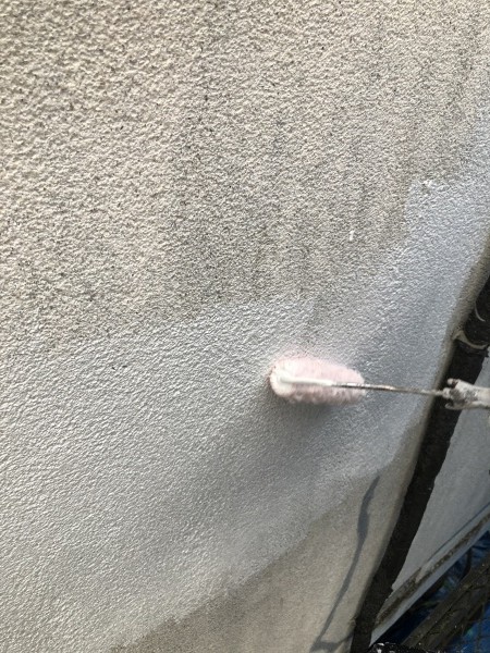 フィラー下塗りローラー塗装中です