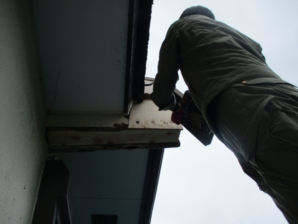 合板の貼り付け中です