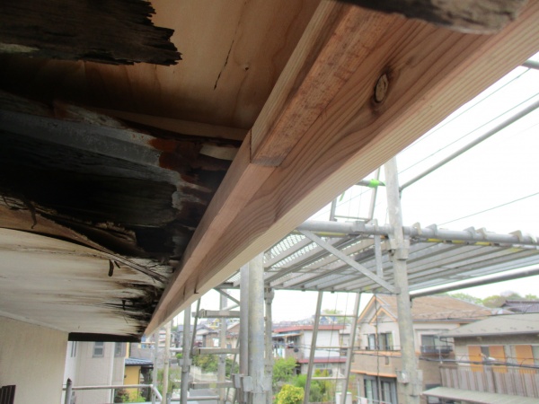 軒天下地を取り付けました