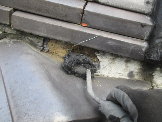 荒詰めしていきます