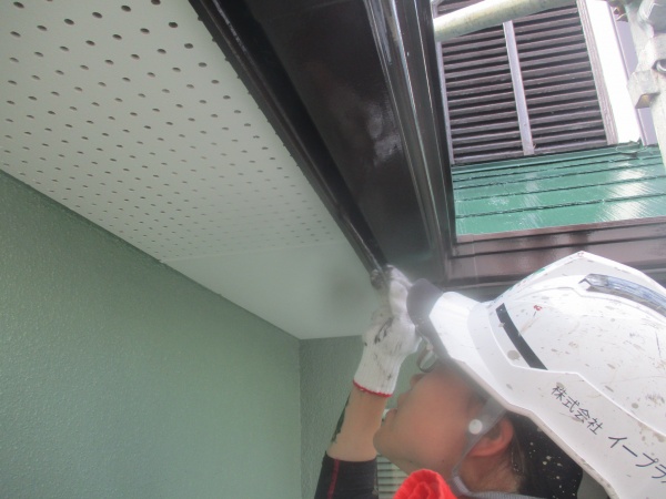 雨樋の上塗り塗装中です