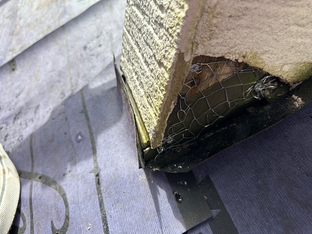 ラス網取り付け終了です