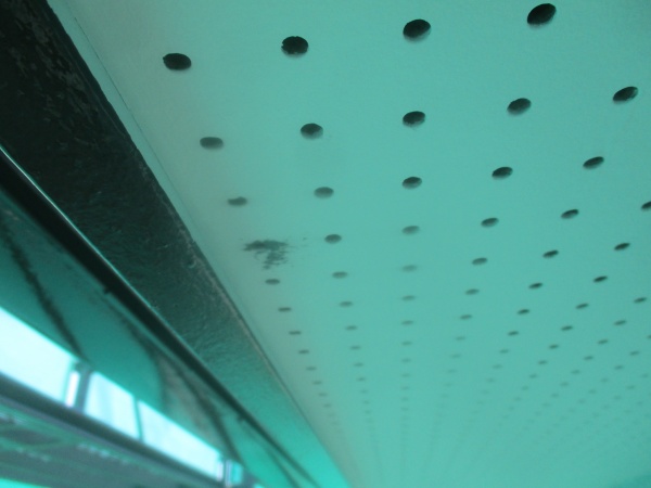 軒天の汚れです