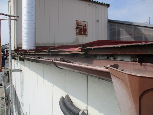 雨樋の破損個所です