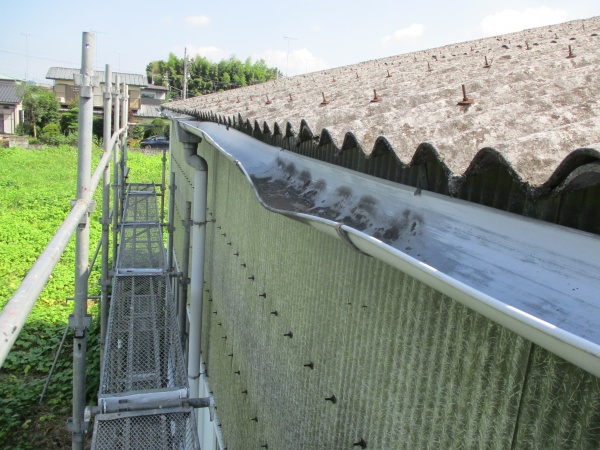 軒樋の清掃をしました