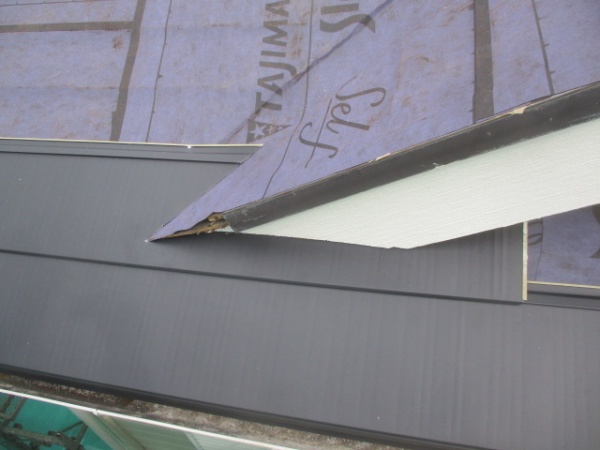 ルーフの貼り始まりです