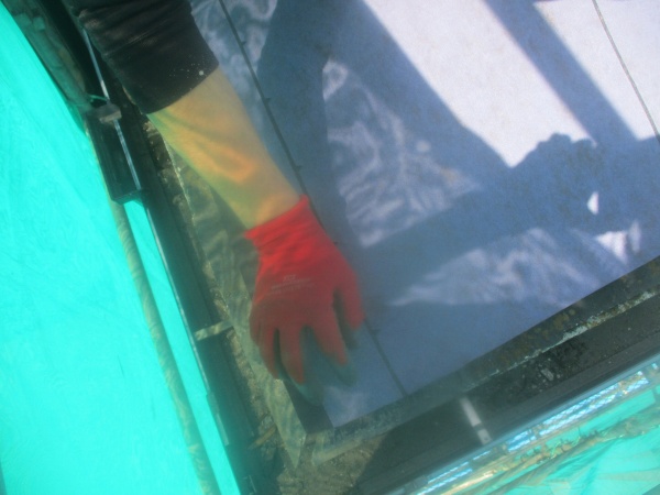 ルーフィングの貼り始まりです