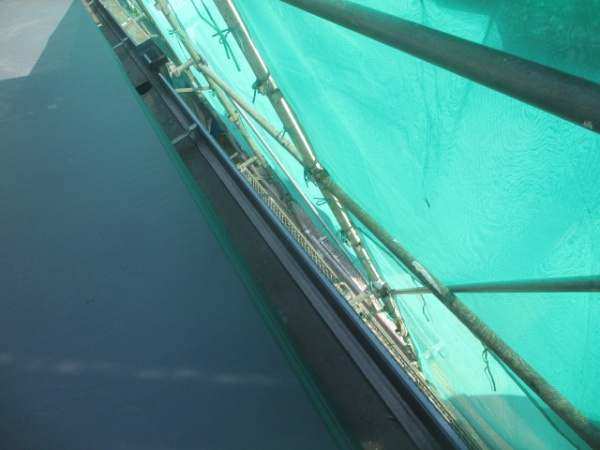 軒樋の清掃終了です