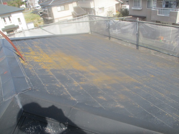 洗浄前の屋根の状態です
