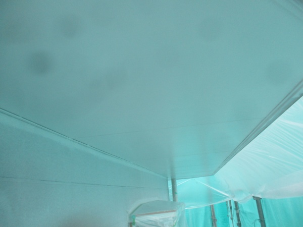 軒天の２回目塗装終了です