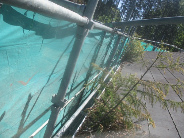 施工前の屋根の状態です