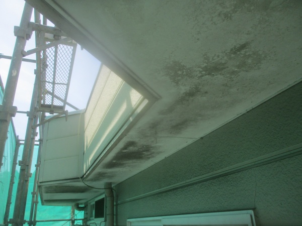 洗浄前の状態です