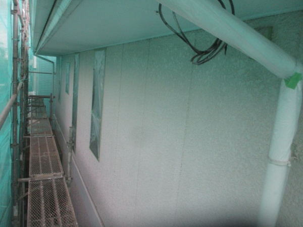 竪樋を養生しました